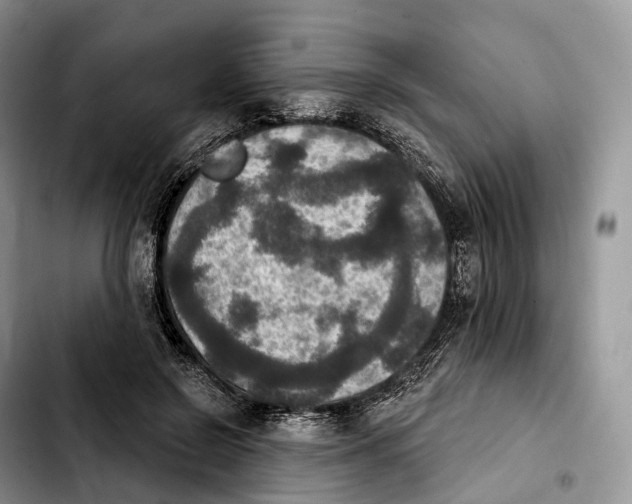 X0000103950550200810101440