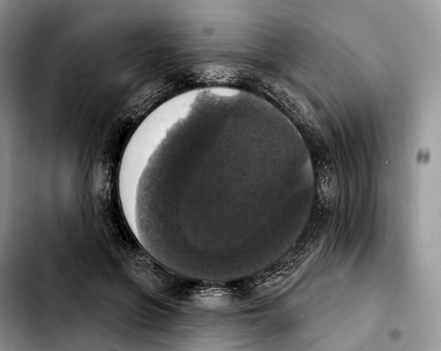 X0000103950551200810101440