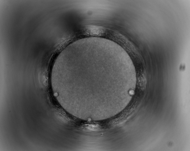 X0000103950552200810101441