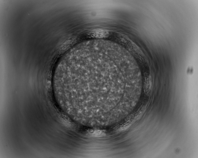 X0000103950553200810101441