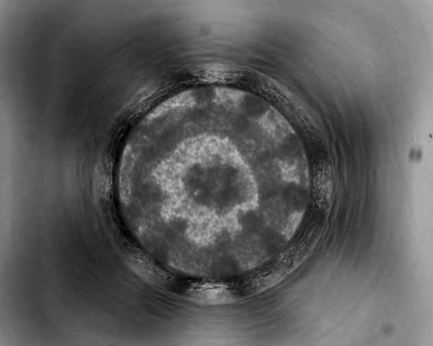 X0000103950554200810101441