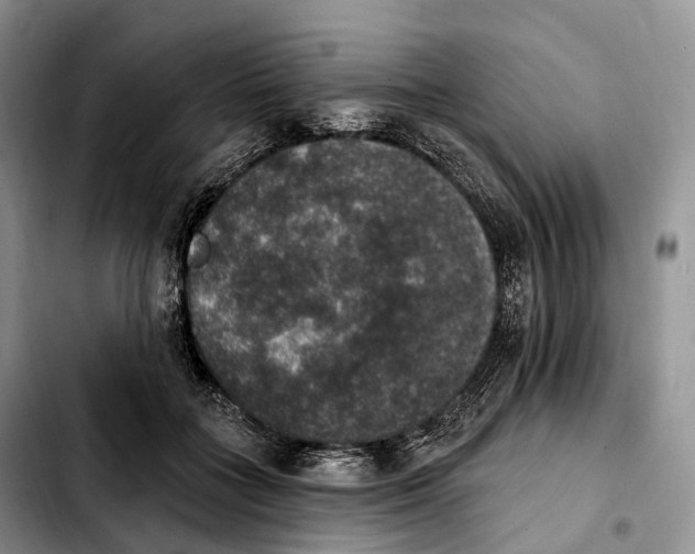 X0000103950555200810101441