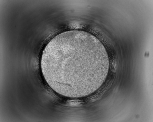 X0000103950556200810101441