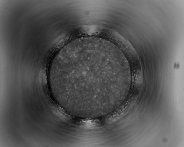 X0000103950558200810101441