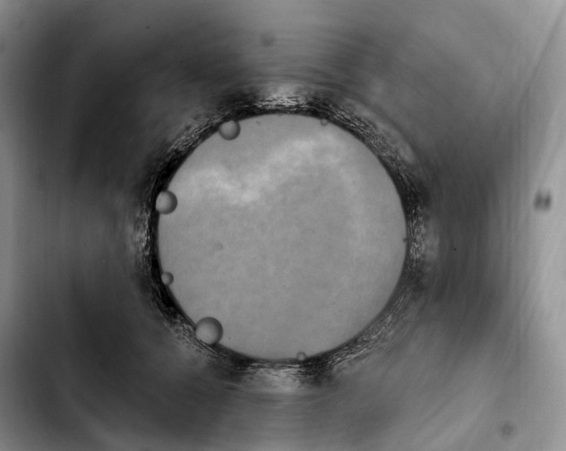 X0000103950560200810101441