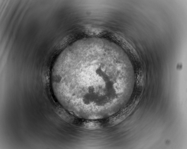 X0000103950561200810101441