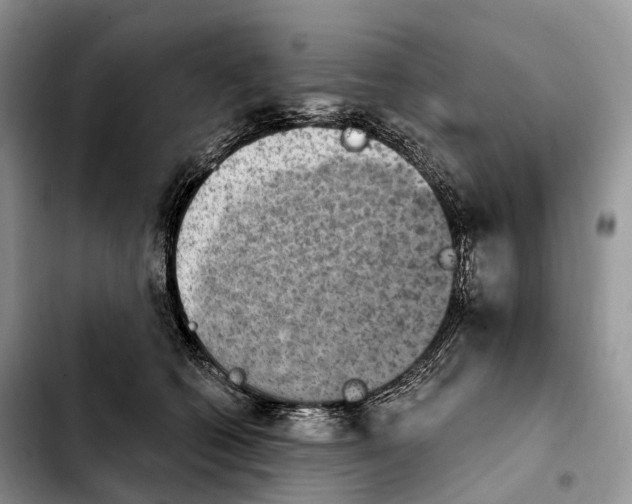 X0000103950562200810101441