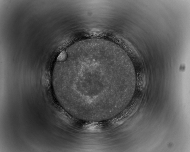 X0000103950563200810101441