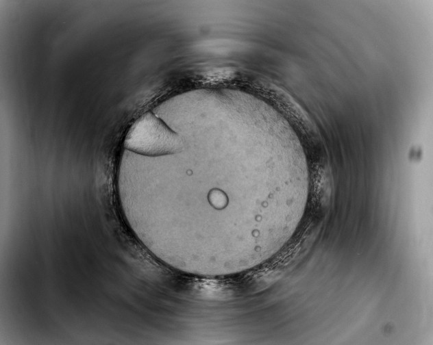 X0000103950565200810101441