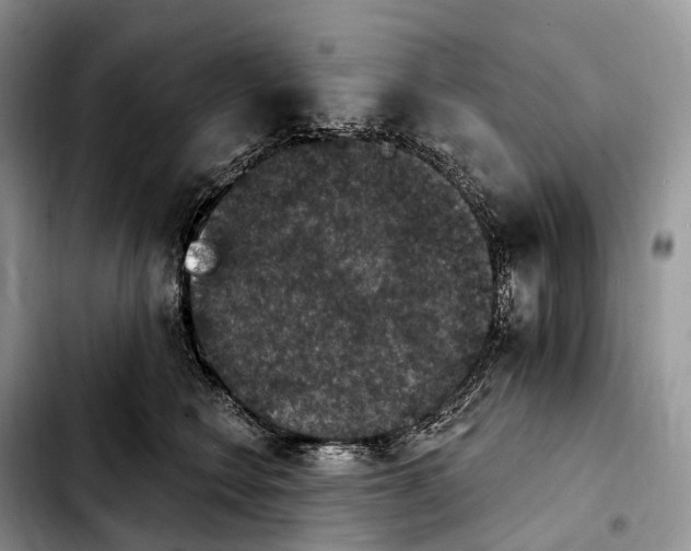 X0000103950566200810101441