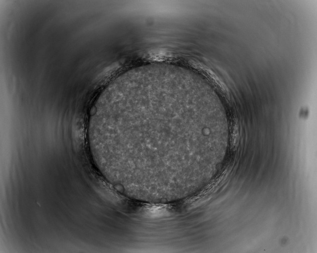 X0000103950569200810101441