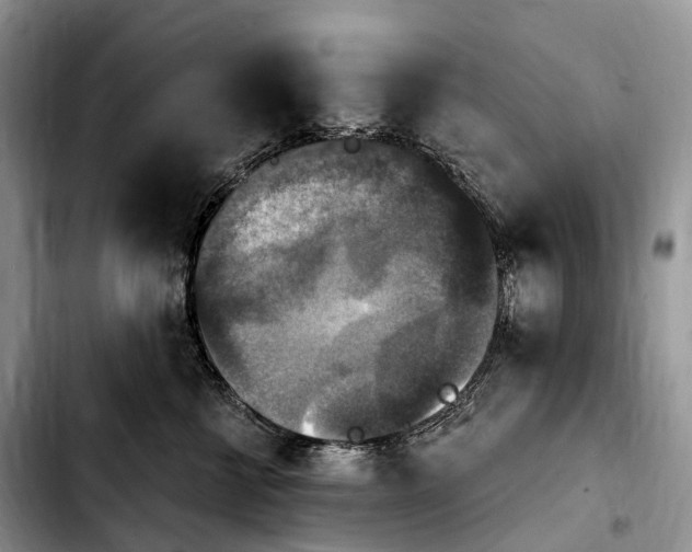 X0000103950570200810101441