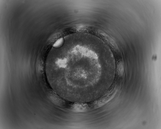 X0000103950571200810101441