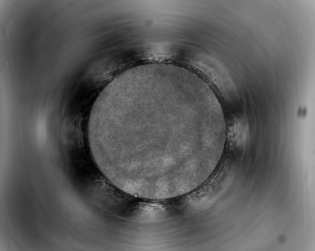 X0000103950572200810101441