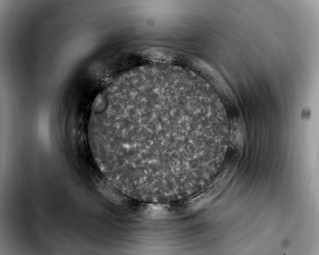 X0000103950573200810101441