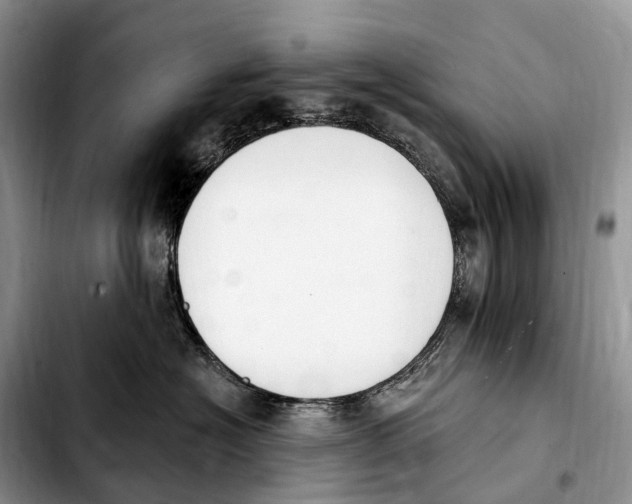 X0000103950574200810101441