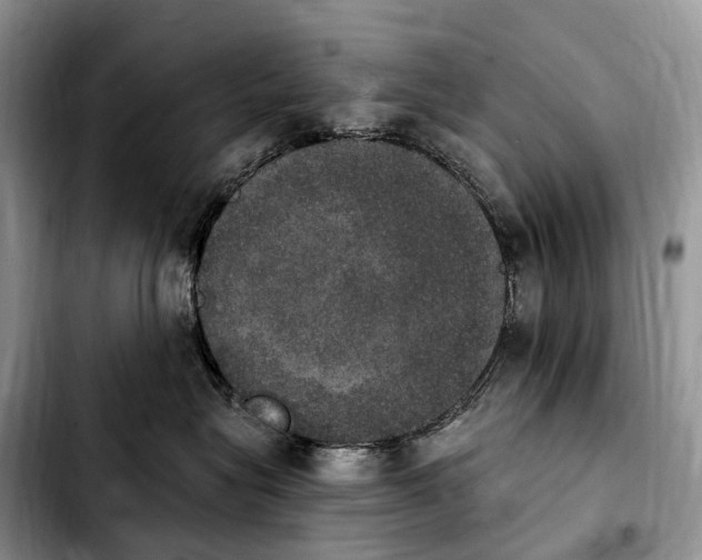 X0000103950575200810101441