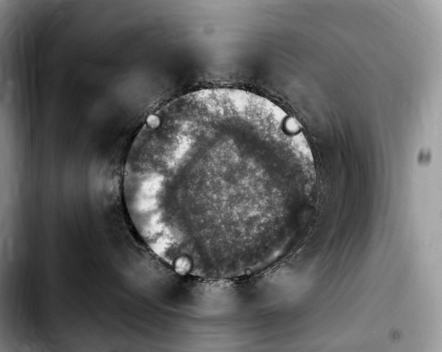 X0000103950576200810101441