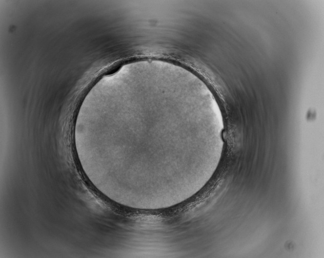 X0000103950577200810101440