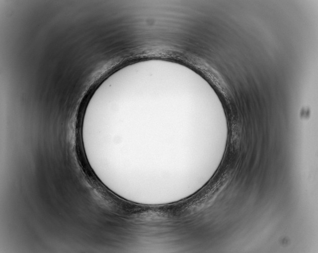 X0000103950578200810101440