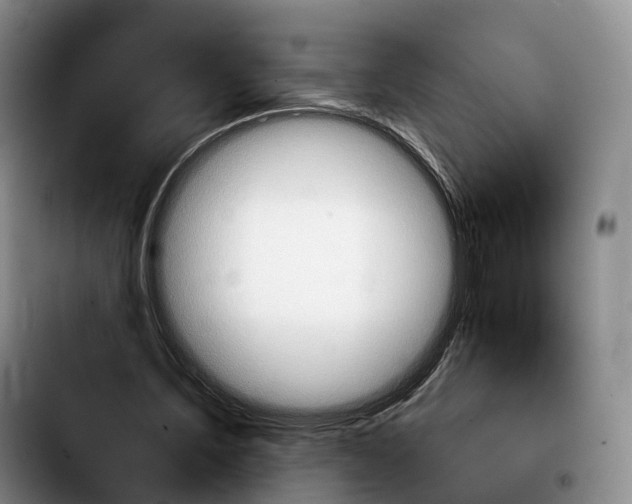 X0000103950579200810101440