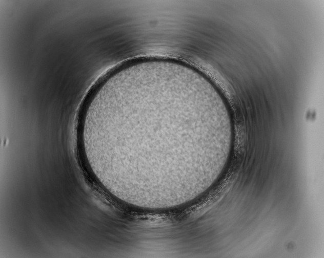 X0000103950580200810101440