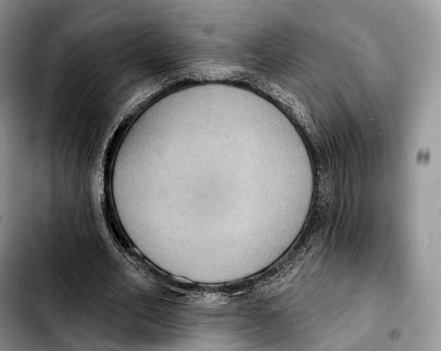 X0000103950582200810101440