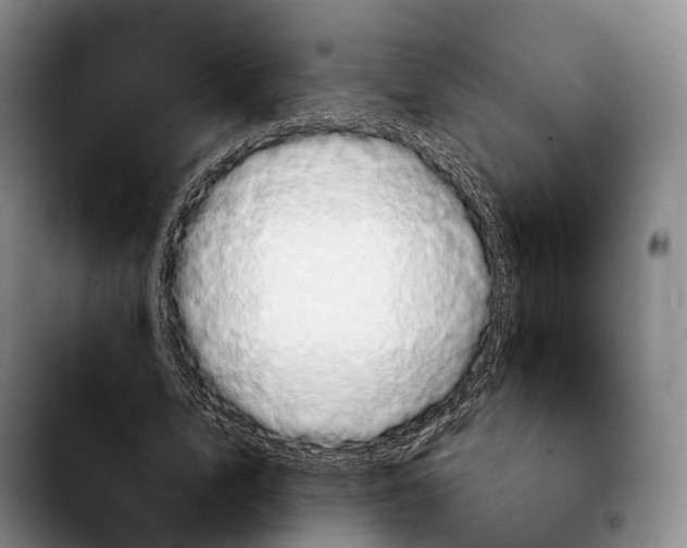 X0000103950583200810101440