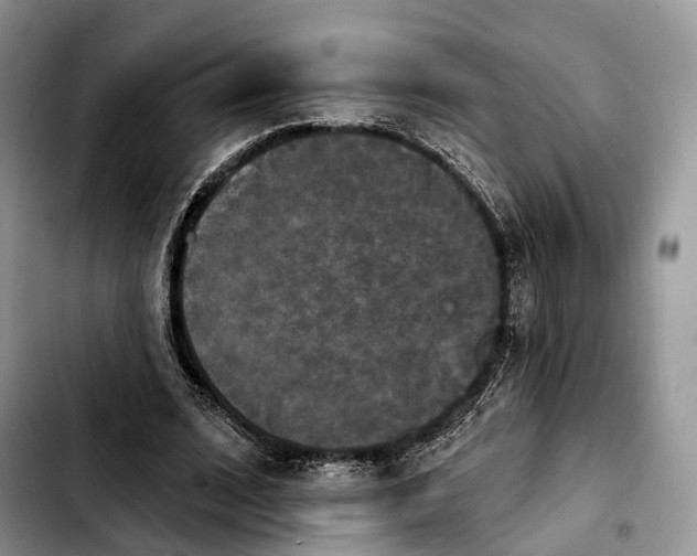 X0000103950584200810101440