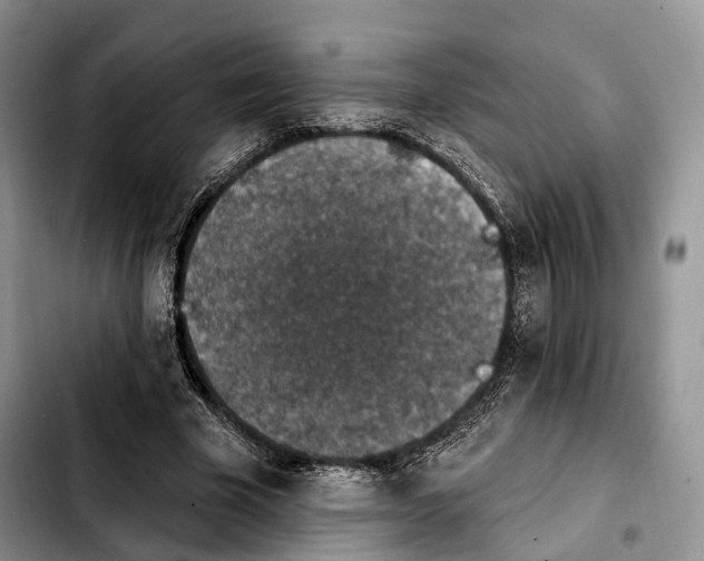 X0000103950585200810101440