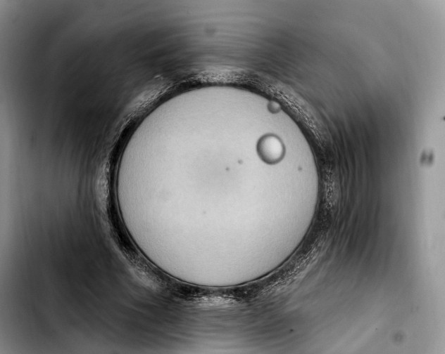 X0000103950586200810101440