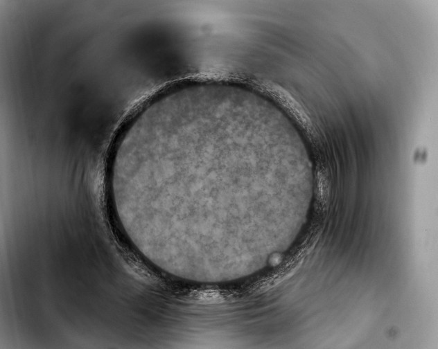 X0000103950588200810101440