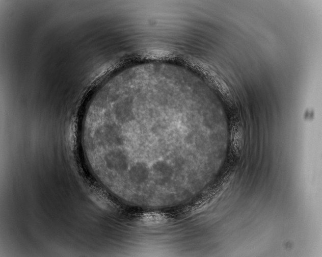 X0000103950591200810101440