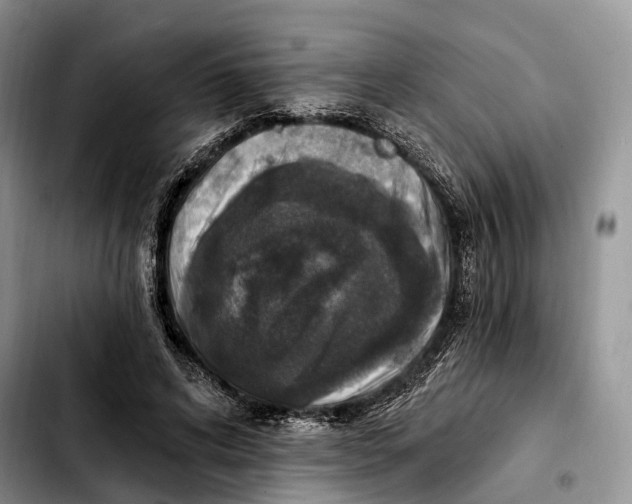 X0000103950592200810101440