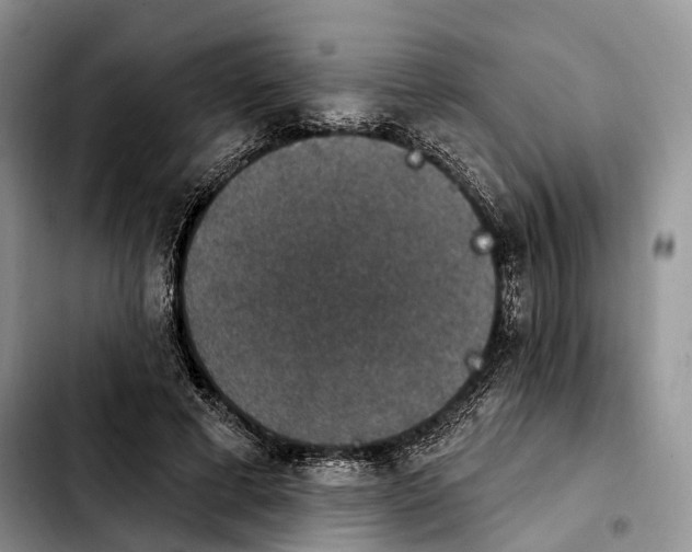 X0000103950593200810101440