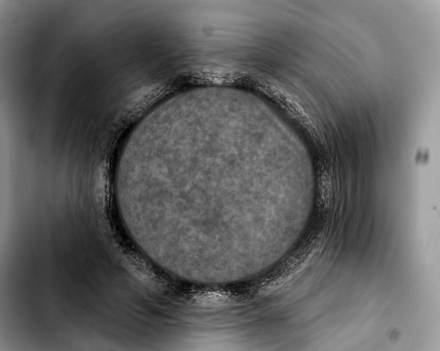 X0000103950594200810101440