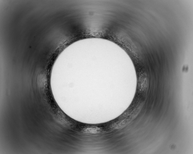 X0000103950595200810101440