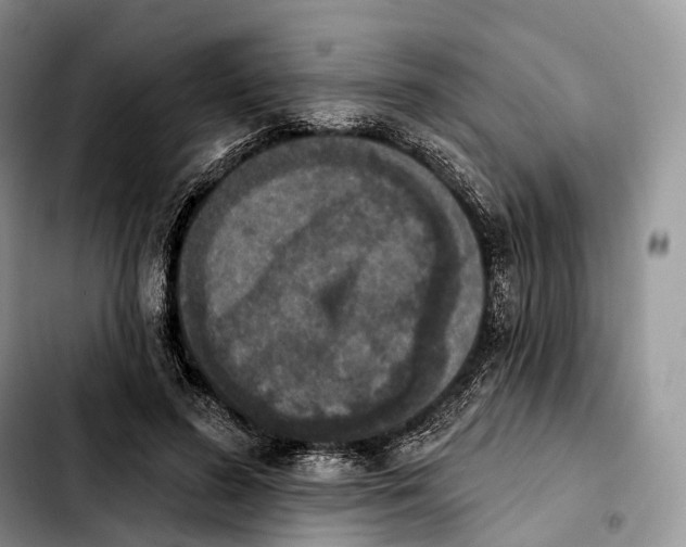 X0000103950596200810101440