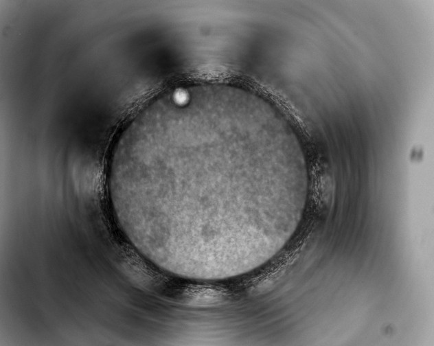 X0000103950597200810101440