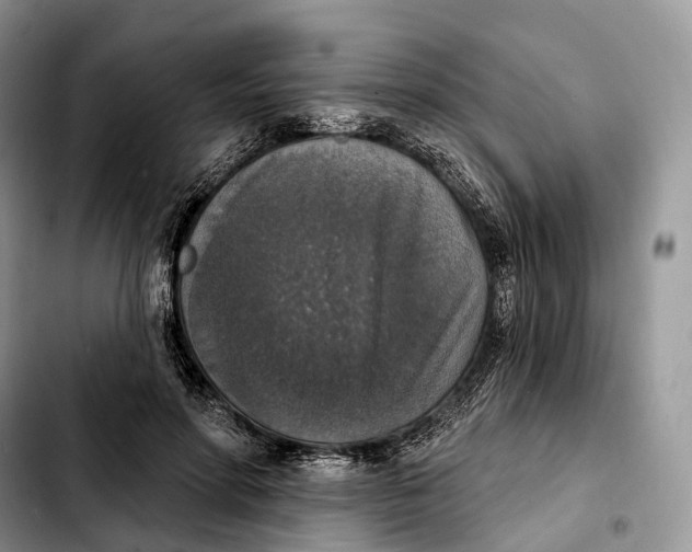 X0000103950598200810101440