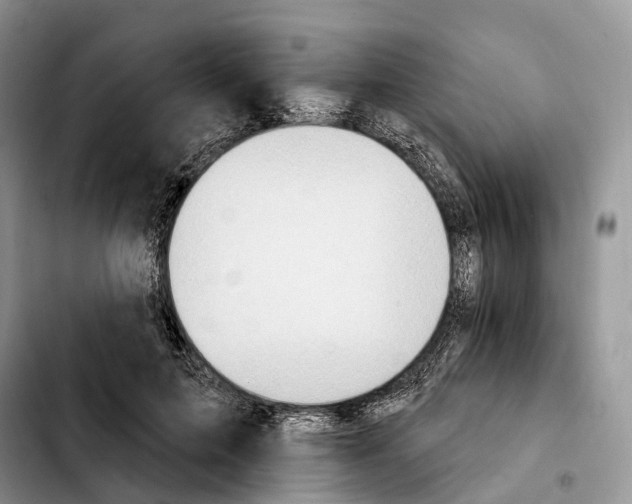 X0000103950599200810101440