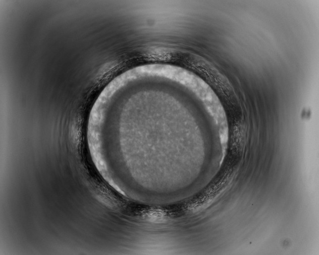 X0000103950600200810101440