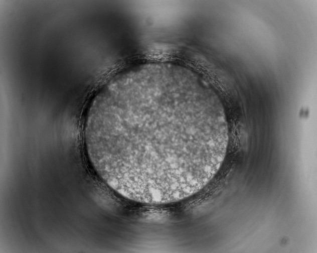 X0000103950601200810101440