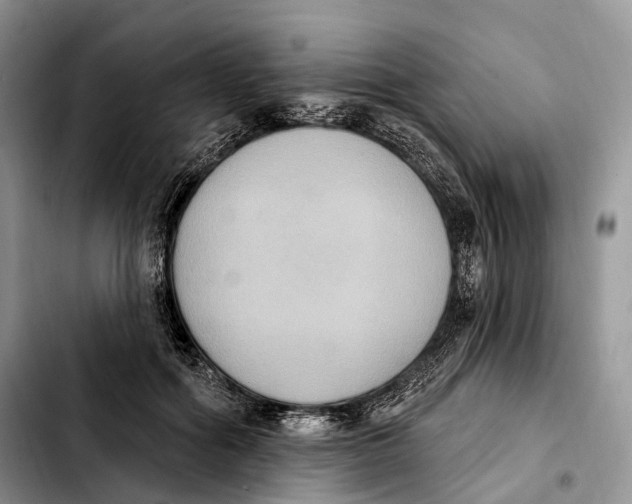 X0000103950602200810101440