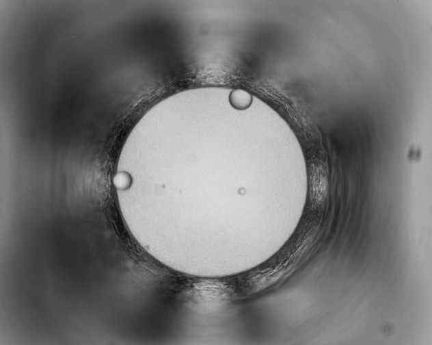 X0000103950603200810101440