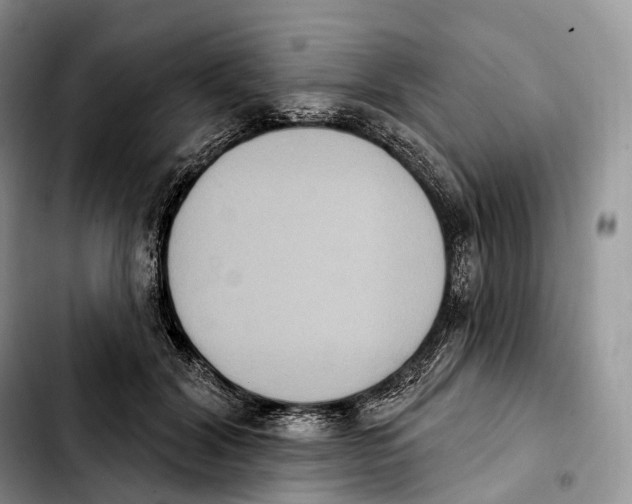 X0000103950604200810101440