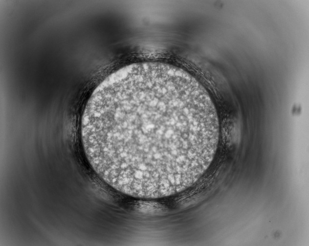 X0000103950605200810101440