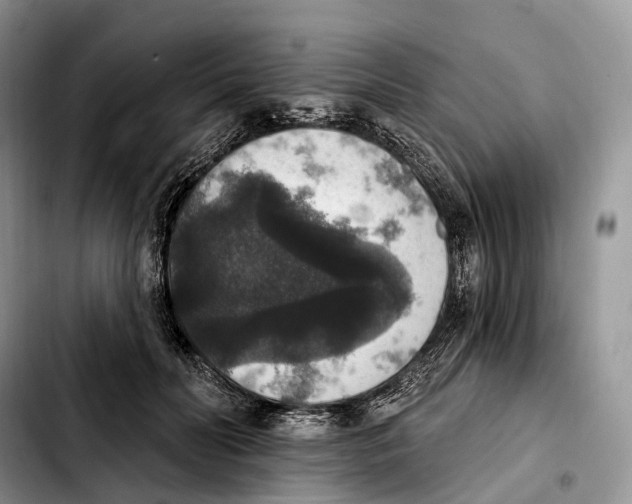 X0000103950606200810101440