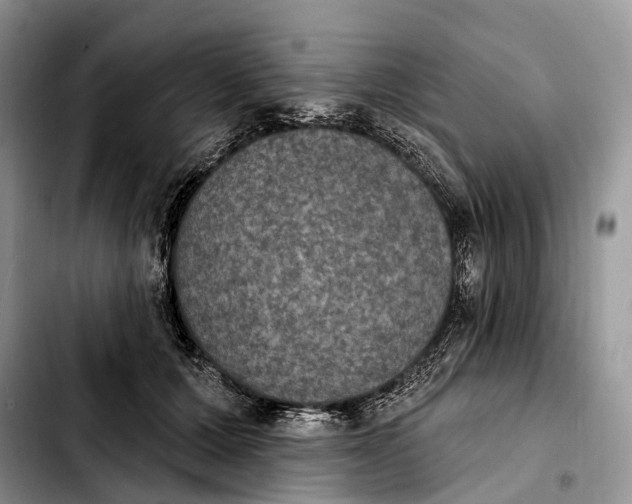 X0000103950607200810101440