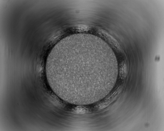 X0000103950608200810101440